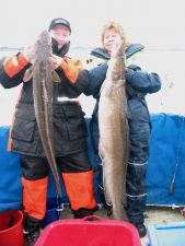 Ling Cod 7.5 Kilo & 14.5 Kilo